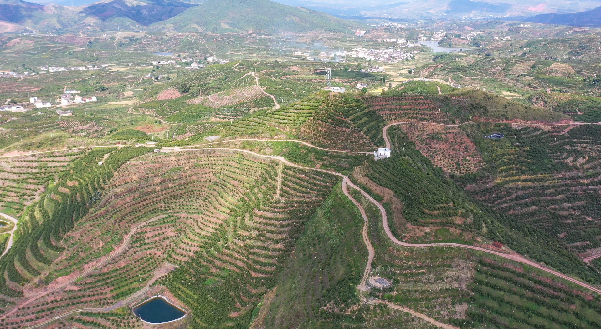 产业园全景.jpg