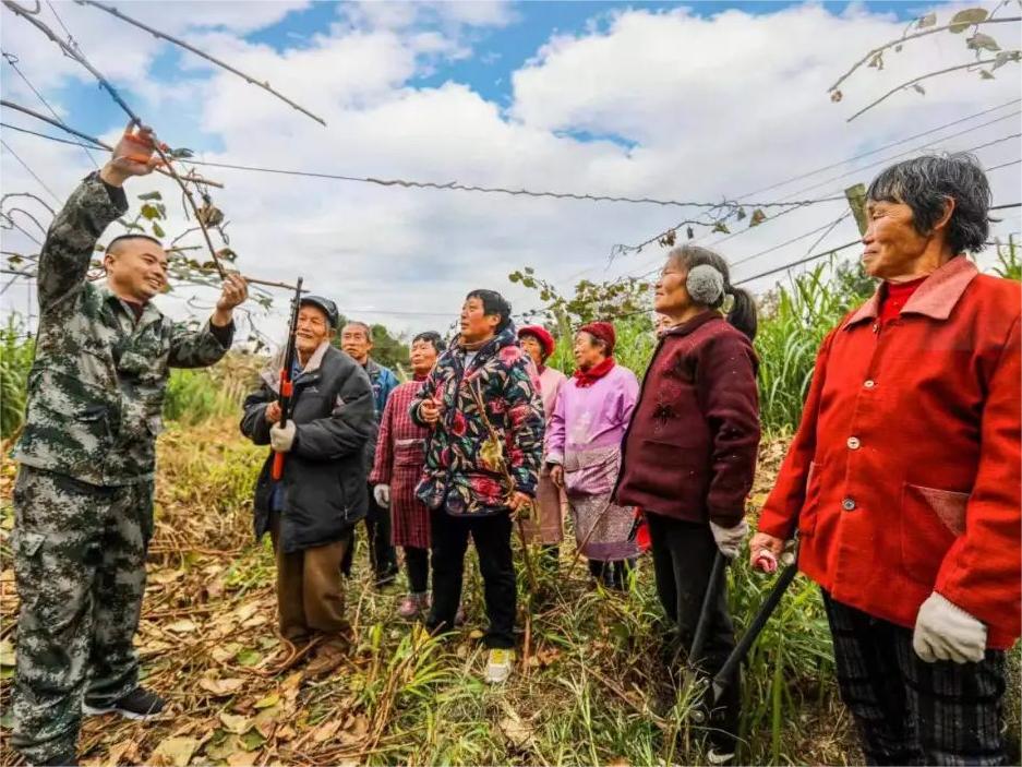 绵阳市梓潼县坚持党建引领春耕生产 奋力打造新时代更高水平的“天府粮仓”